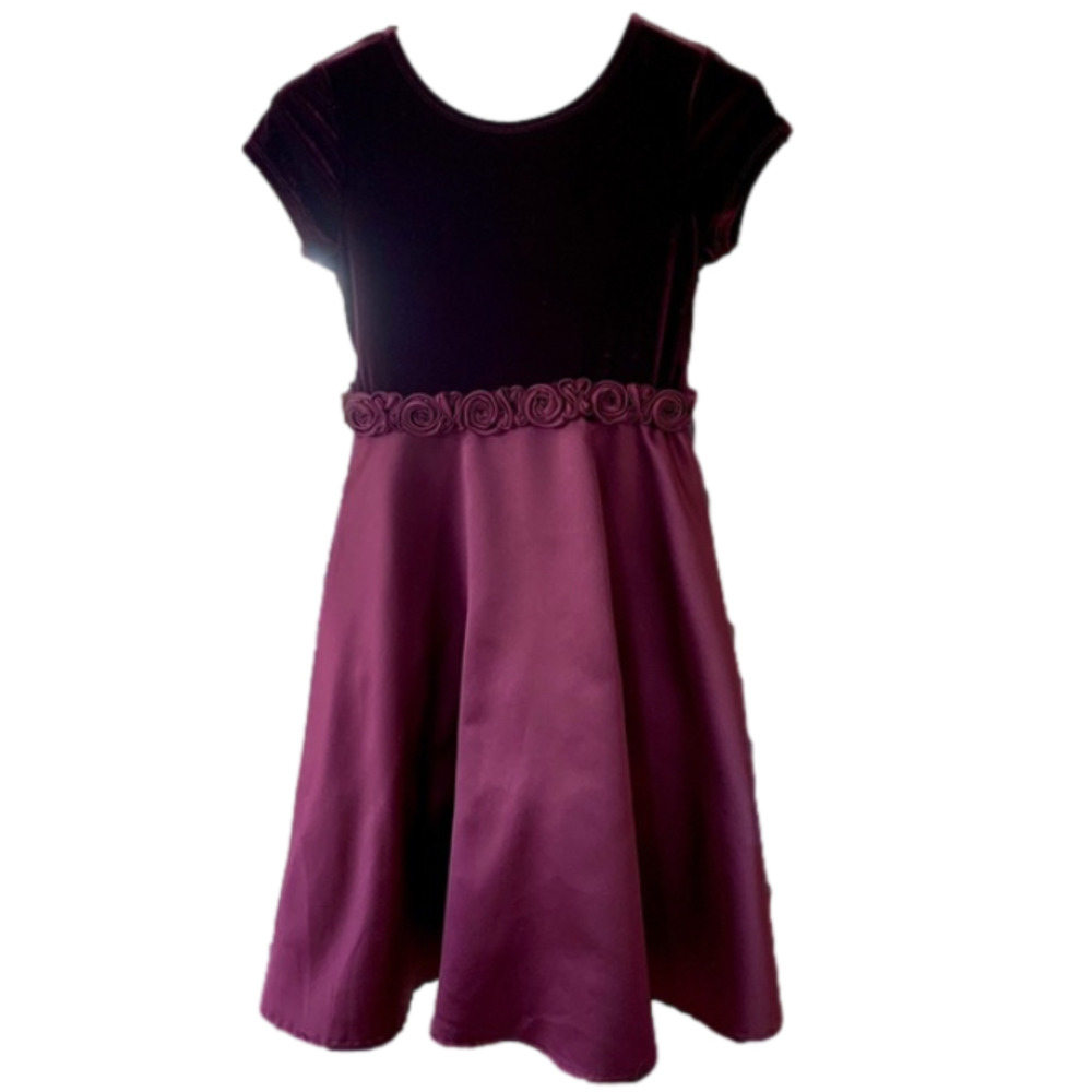 Biscotti Girls Velvet/Satin Girls Dress